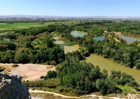 Humedales en el  espacio natural Galacho de Juslibol (Zaragoza)